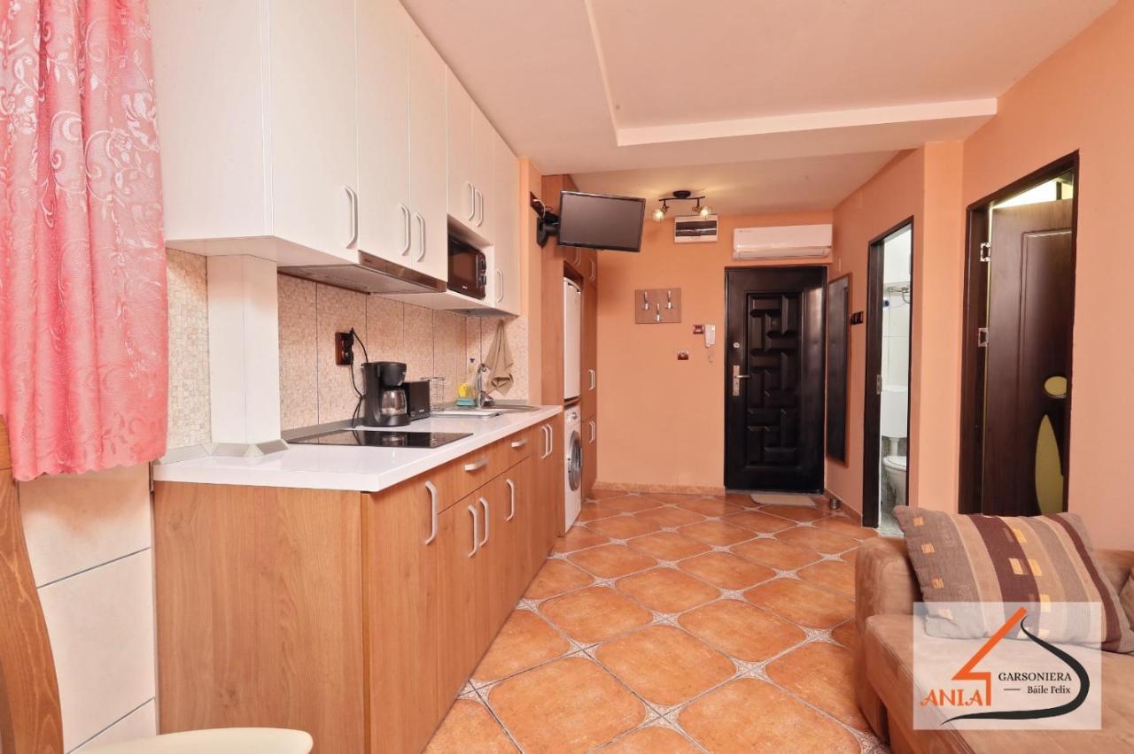 Garsoniera Ania Baile Felix Apartment Bagian luar foto